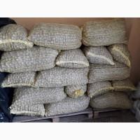 Продам горіх кругляк