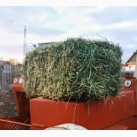 Продам люцерну в тюках
