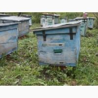 Продам вулики