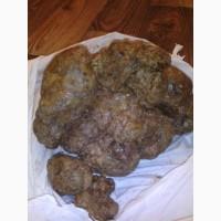 Продам прополіс