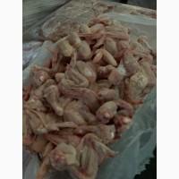 Крыло куриное крупное