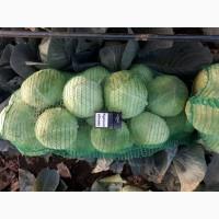 Продам капусту