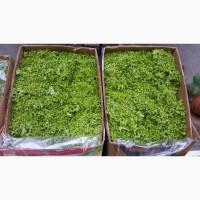 Продам листя салату