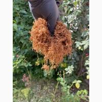 Тютюн! Вірджинія Голд/ Золоте руно/Winston / Kapitan Blek/ Oriental /Marlboro