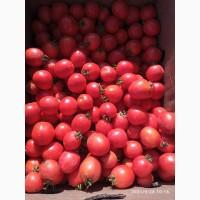 Продам помидоры асвон