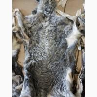 Продам шкіри каракульчі, та каракуля сірого