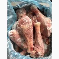 Голень индюка