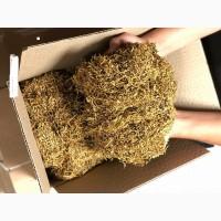 Тютюн домашній Вірджінія, тутун. самосад сільський Дюбек, Берлі