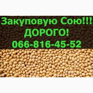 Підприємство переробник закуповує СОЮ 2024го року