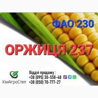 Насіння кукурудзи - ОРЖИЦА 237 МВ (ФАО 230) від ТОВ ХімАгроСтеп