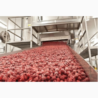 Обладнання для зберігання ягід