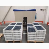 Обладнання для зберігання ягід