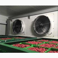 Обладнання для зберігання ягід