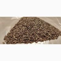 Купуємо купим лён, кoнoплю, розторопшу