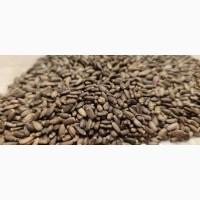 Купуємо купим лён, кoнoплю, розторопшу