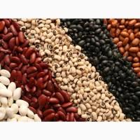 Продам квасолю різних сортів