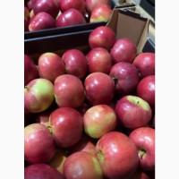 Продам яблуко