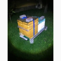 Продам улики оптом по 500грн