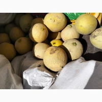 Продам овочі від виробника картопля, кавун, диня, перець, помідор, кукурудза, баклажан