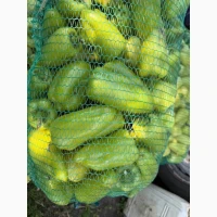 Продам овочі від виробника картопля, кавун, диня, перець, помідор, кукурудза, баклажан