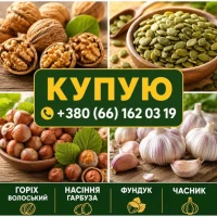 Куплю часник, горіхи, насіння гарбуза