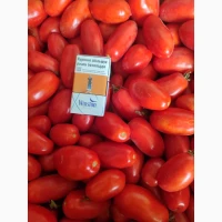 Продам помидори