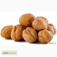 Куплю Грецький не чищений Горіх Львів !