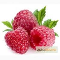 Малина, лист