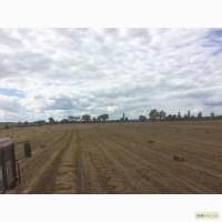 Продам солому в тюках