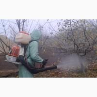 Обрезка плодовых деревьев
