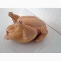 Мясо домашнего бройлера