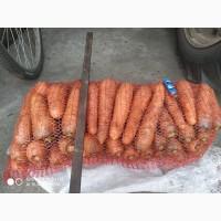 Продам моркву