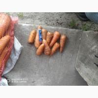 Продам моркву
