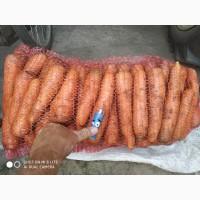 Продам моркву