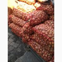 Продам лук Штутгарт на зелёное перо