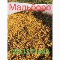 Табак VIRGINIA GOLD, Virginia, Берли, Дюбек, Фабричный, Гильзы, машинки