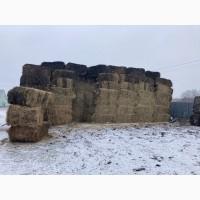 Продам сено ЛЮЦЕРНЫ в тюках по 300кг