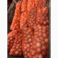 Продам лук