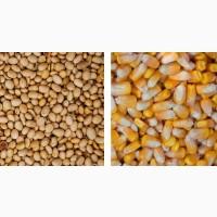 Куплю половинки сої, кукурудзу не ДСТУ