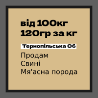 Продам свині, від 110кг