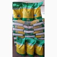 Карат- посівний матеріал бюджетного, високоврожайного гібриду соняшника, Україна