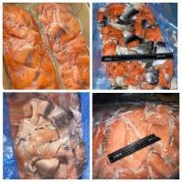 Риба, морепродукти ОПТОМ