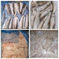 Риба, морепродукти ОПТОМ