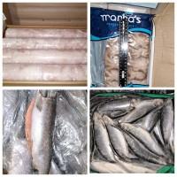 Риба, морепродукти ОПТОМ