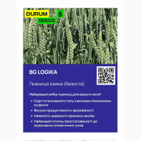 Насіння пшениці від виробника - БГ Логіка / BG Logika (пшениця м#039;яка озима)