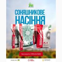 Насіння соняшнику кукурудзи (гранстар євролайтінг)