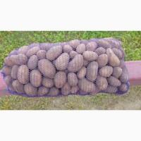 Продам картошку крупну