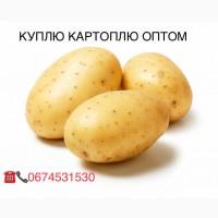Куплю картоплю обʼєм