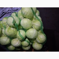 Продам капусту пізніх сортів