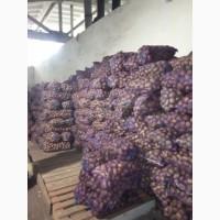 Продам и привезу картошку